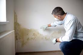 Why You Should Choose Our Mold Remediation Services in Skidaway Island, GA